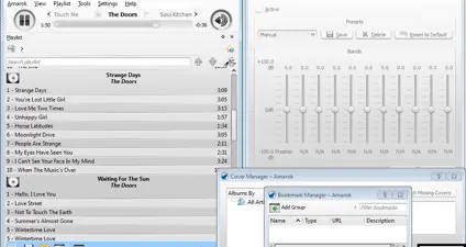 Amarok screenshot 3