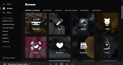 Spotify screenshot 3