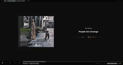 Tauon Music Box screenshot 3