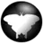 Qmmp logo